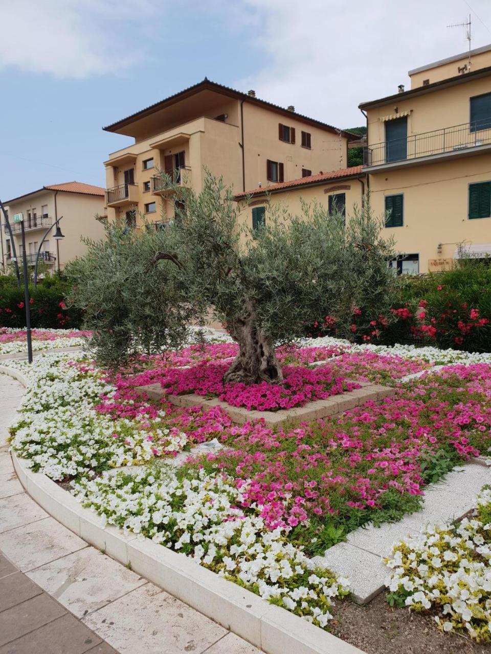 Hotel Lucerna Castiglione della Pescaia Exteriör bild